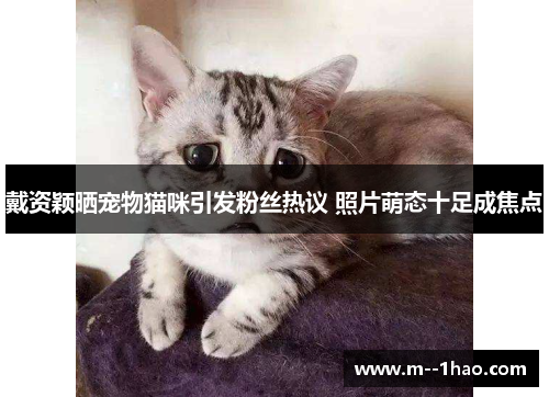 戴资颖晒宠物猫咪引发粉丝热议 照片萌态十足成焦点 戴资颖晒宠物猫咪引发粉丝热议 照片萌态十足成焦点