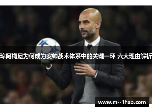 琼阿梅尼为何成为安帅战术体系中的关键一环 六大理由解析 琼阿梅尼为何成为安帅战术体系中的关键一环 六大理由解析