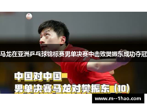 马龙在亚洲乒乓球锦标赛男单决赛中击败樊振东成功夺冠
