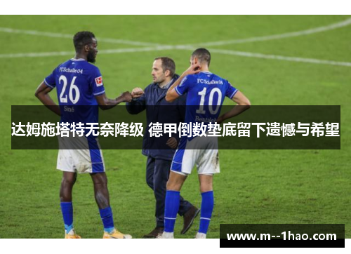 达姆施塔特无奈降级 德甲倒数垫底留下遗憾与希望