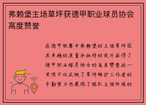 弗赖堡主场草坪获德甲职业球员协会高度赞誉 弗赖堡主场草坪获德甲职业球员协会高度赞誉