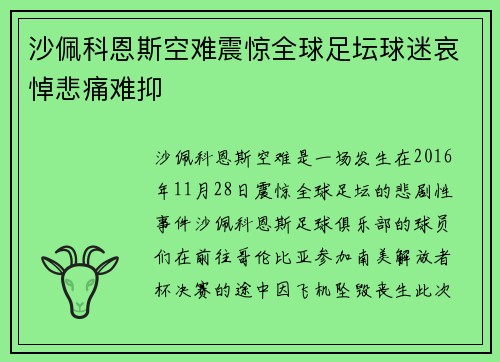 沙佩科恩斯空难震惊全球足坛球迷哀悼悲痛难抑 沙佩科恩斯空难震惊全球足坛球迷哀悼悲痛难抑