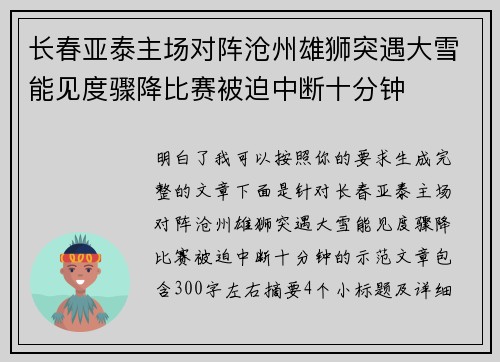 长春亚泰主场对阵沧州雄狮突遇大雪能见度骤降比赛被迫中断十分钟
